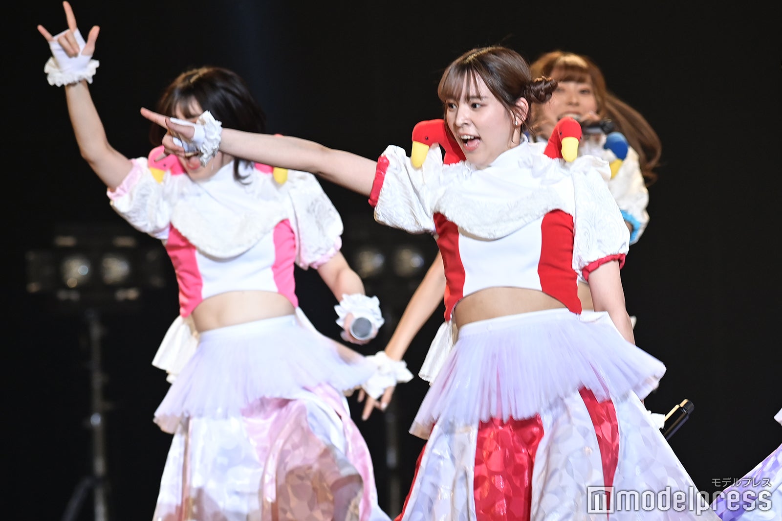 豆柴の大群（C）モデルプレス