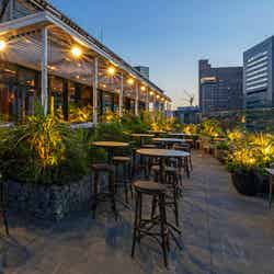 BEEF STEAK CLUB KIYO GINZA/提供画像