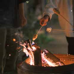 ライトアップの様子/提供画像