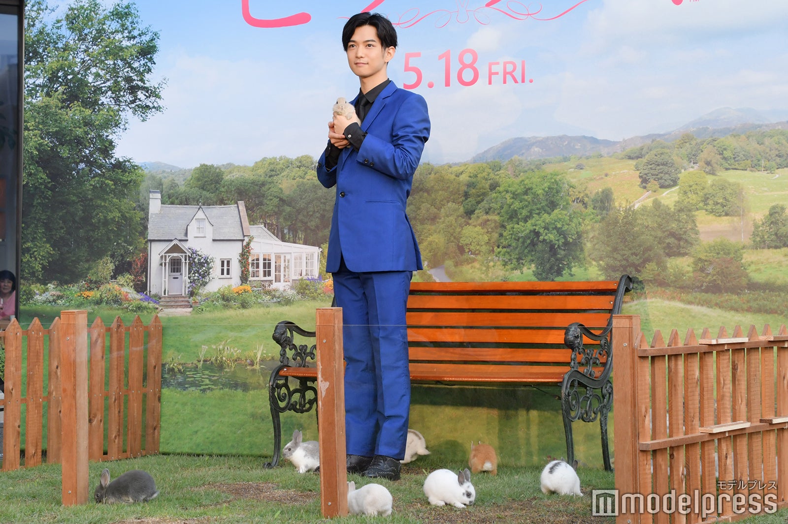 ウサギに囲まれる千葉雄大 （C）モデルプレス