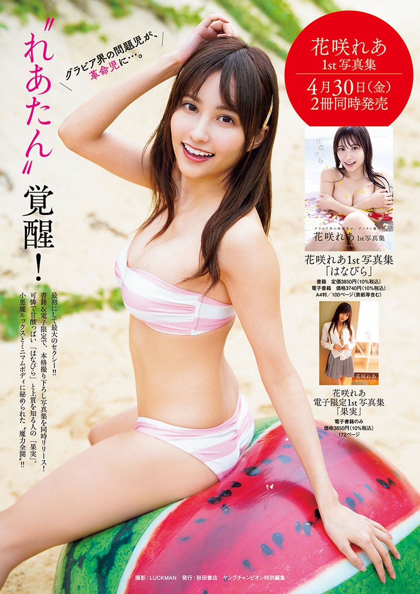花咲れあ僕のお手伝いさんは問題児 dvd - DVDブルーレイ