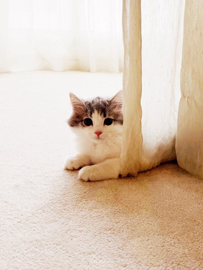 高橋克典ブログより