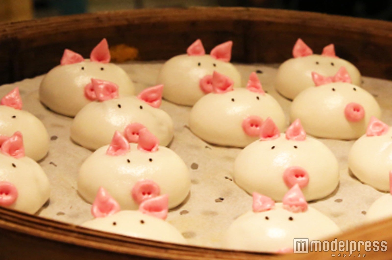 Yum Cha（C）モデルプレス