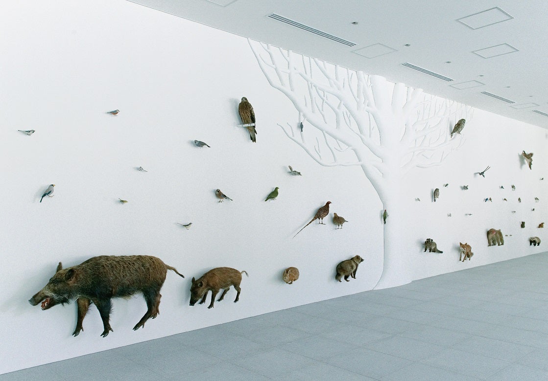 NATURE WALL／Photo／Taiji Yamazaki