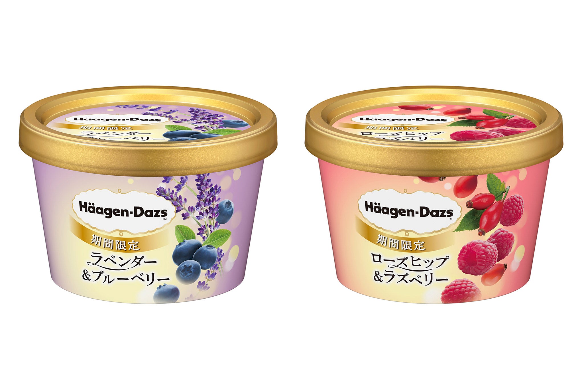 ハーゲンダッツ 果実香る新フレーバー登場 爽やかなハーブと濃厚な味わい モデルプレス