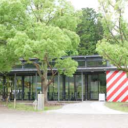 パンとエスプレッソとびわこ文化公園(提供画像)