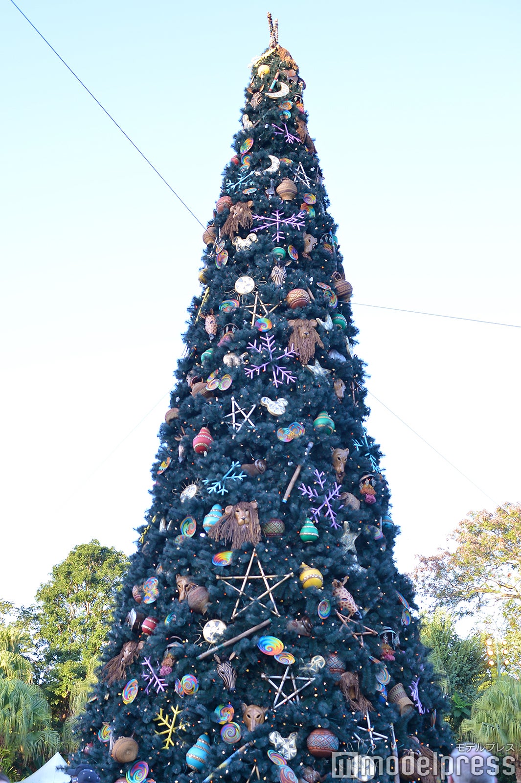 デコレーション／ディズニー・アニマルキングダム（C）モデルプレス（C）Disney