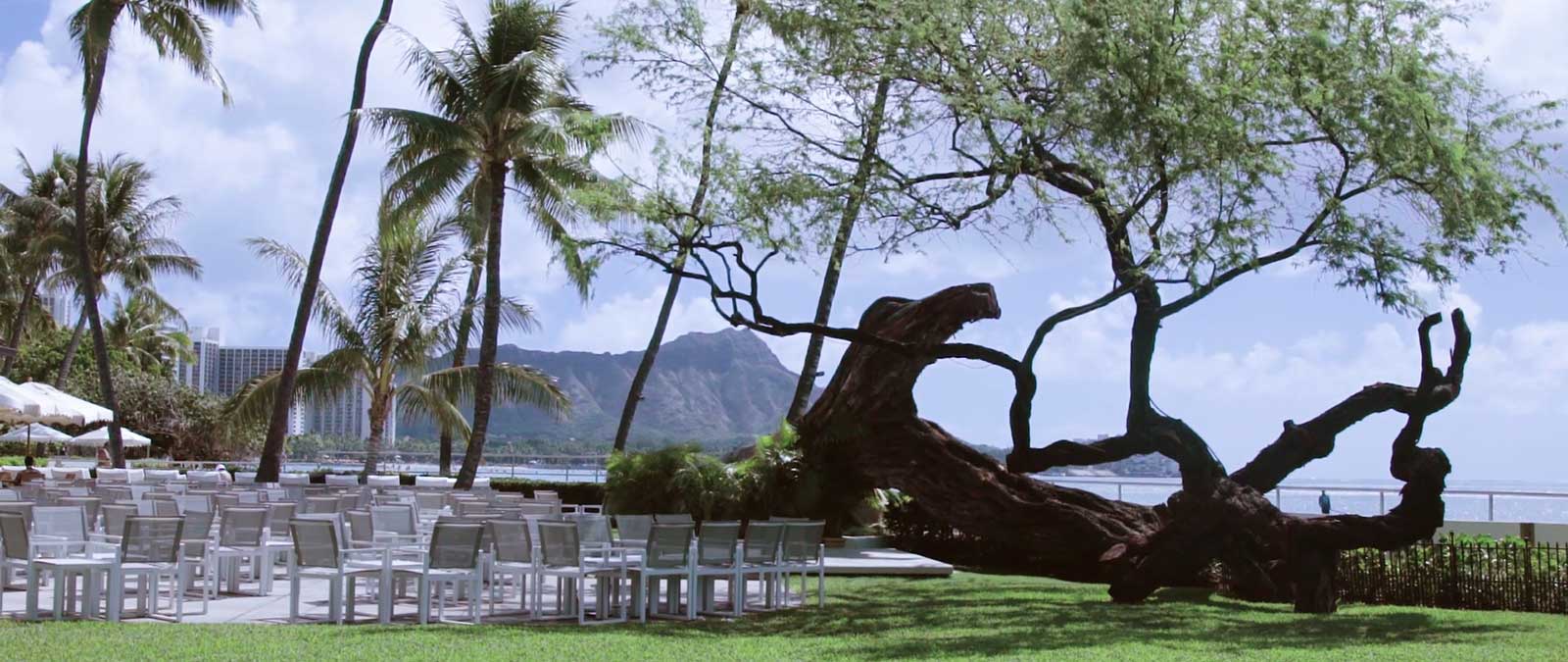 ハワイ挙式で非日常的なひと時を