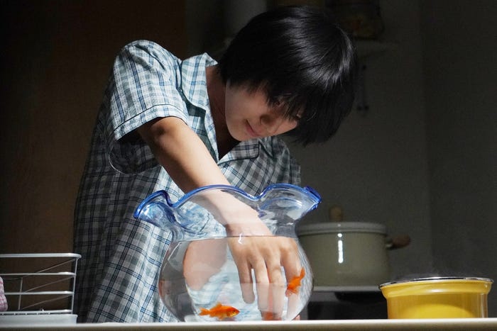 荒木飛羽/「あなたの番です」第14話より(C)日本テレビ