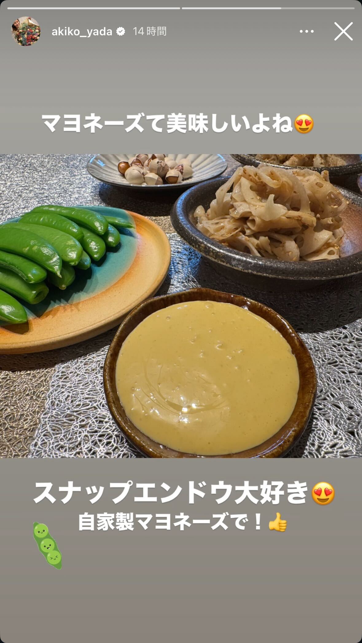 矢田亜希子Instagramストーリーズより