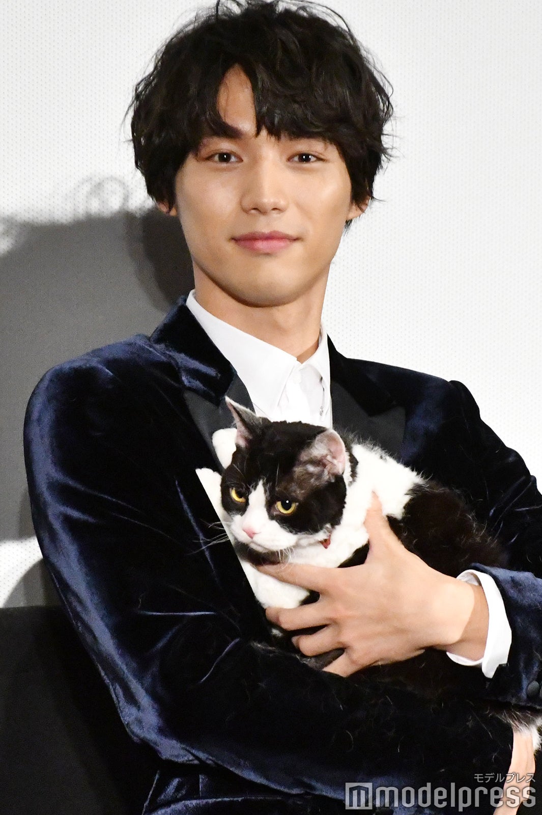 福士蒼汰 念願の 猫 に 山田裕貴が公開 どうしてもやりたかったんだって プライベートショットにファン歓喜 モデルプレス 福士蒼汰 念願の 猫 に 山田裕貴が公開 どうしてもやりたかったんだって プライベートショットにファン歓喜 モデルプレス