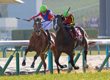 【日経新春杯】ゲルチュタールが重賞初V また4歳最強世代の新星誕生 さらなる飛躍へ坂井も期待「世代でトップレベル」