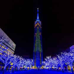 クリスマスイルミネーション／画像提供：福岡タワー