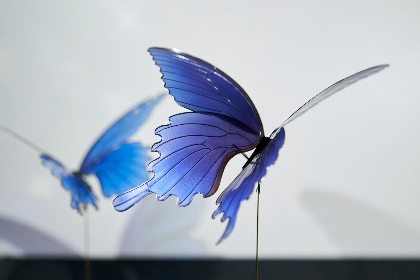 ディップアート 榮（東京都）／提供画像