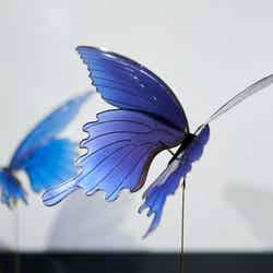 ディップアート 榮(東京都)/提供画像