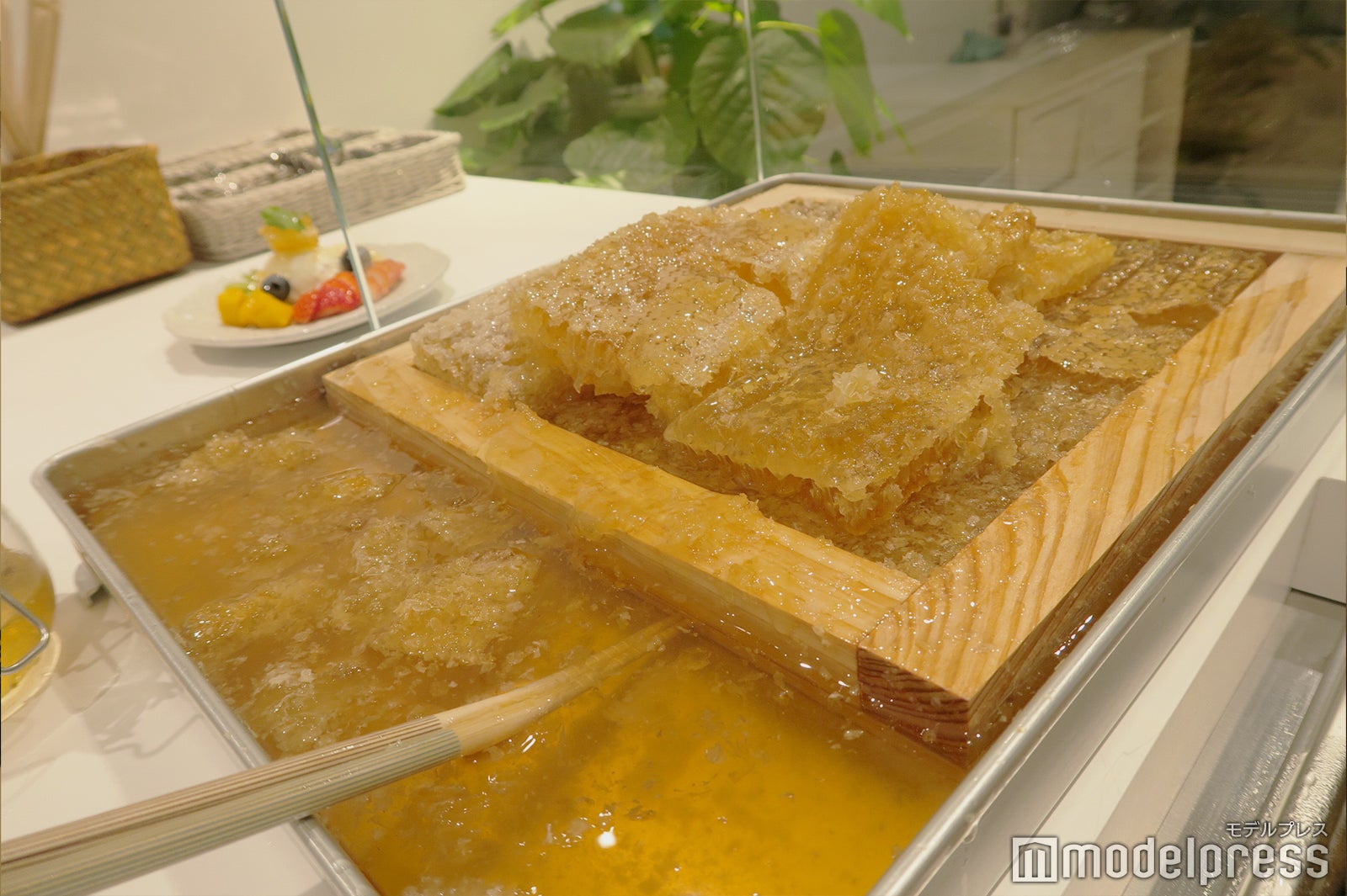 & Yogurt（C）モデルプレス