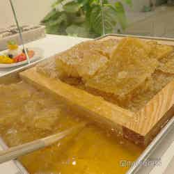 & Yogurt(C)モデルプレス