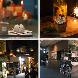 フードイメージ/提供画像