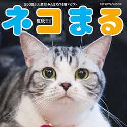「ネコまる」夏秋号 Vol．32 （辰巳出版、2016年5月21日発売）表紙：前田敦子の愛猫ポッツちゃん