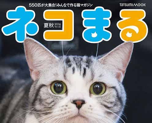 前田敦子の愛猫“ポッツちゃん”効果で雑誌バカ売れ「売り切れ寸前になりました」と喜びの声