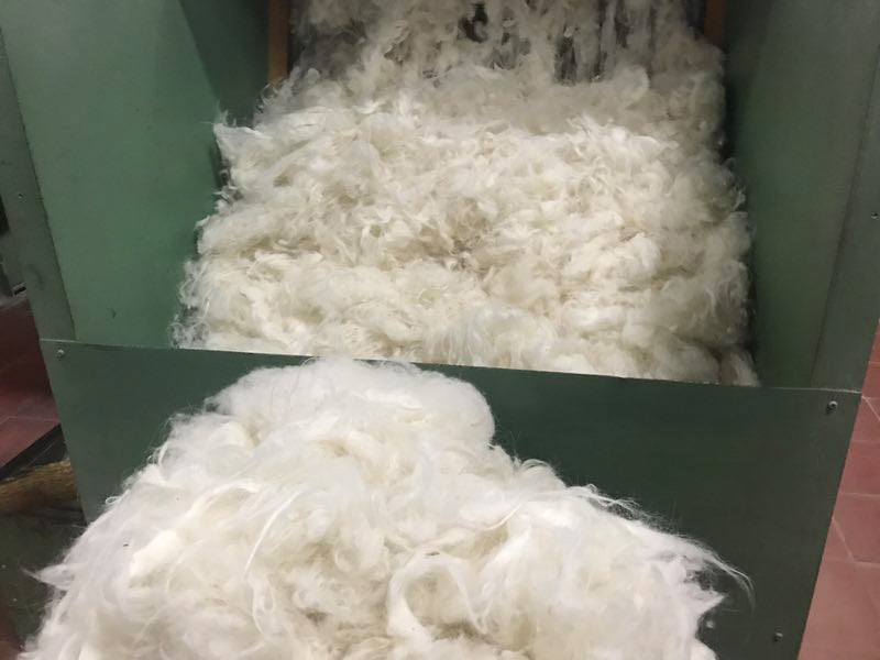 ニットに使用する上質なカシミヤを選別