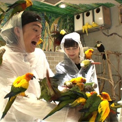 健太郎&中条あやみが人生初の“鳥まみれ” 話題の浅草名所へ