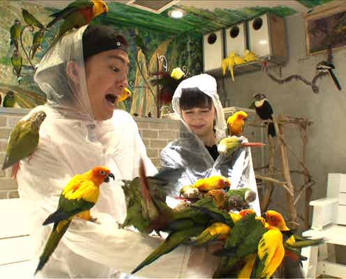 健太郎&中条あやみが人生初の“鳥まみれ” 話題の浅草名所へ