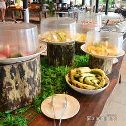 シャングリ・ラ・ヤヌザ・アイランド・フィジー(C)モデルプレス