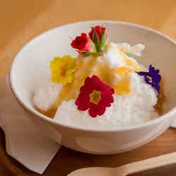 トリックアートミュージアム 旧軽井沢/画像提供:軽井沢スイーツ散歩事務局