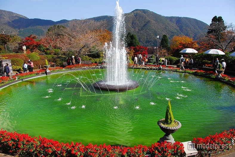 「箱根強羅公園」（見頃：11月上旬）