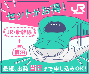 JR東日本びゅうダイナミックレールパック(提供画像)