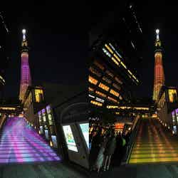 左:粋(イメージ)左中:雅(イメージ)右中:幟(イメージ)右:クリスマス(イメージ)(C)TOKYO-SKYTREETOWN