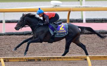 【菊花賞】アスクエジンバラ＆ナリタエスペランサ 福永勢2頭が闘志 福永師はアスクエジンバラに自信「いい状態で使えて何より」