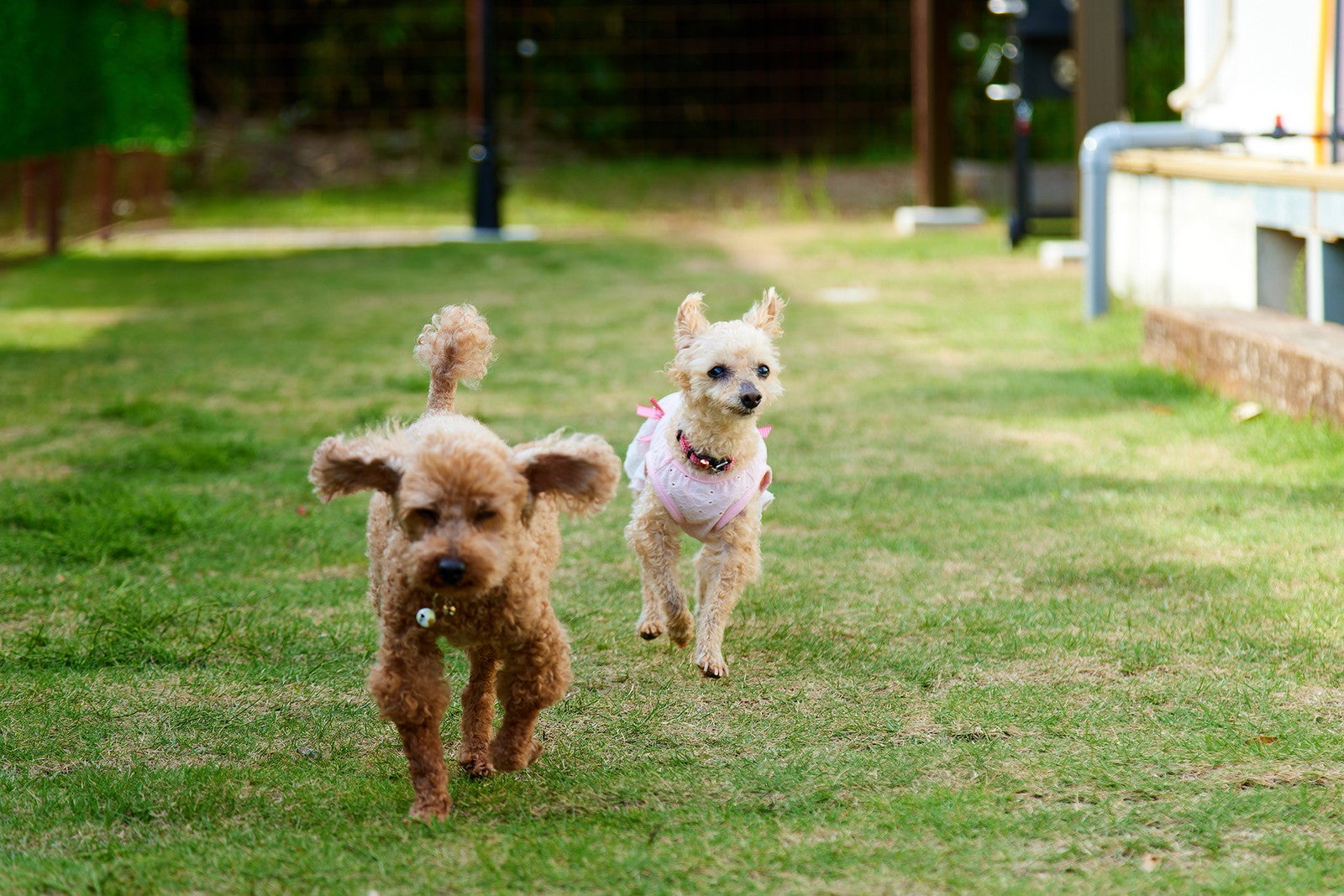 レイクサイドグランピング出雲／提供画像