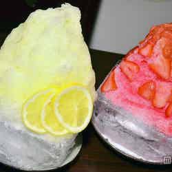 生搾りの新感覚、京都の変わり種かき氷