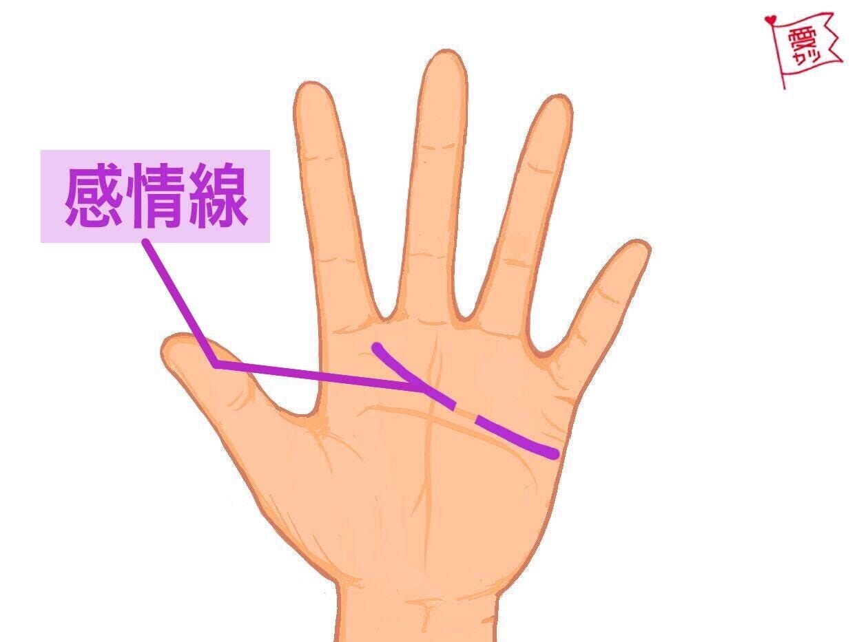 感情線に切れ目があり、2本の間隔が3ミリ以下