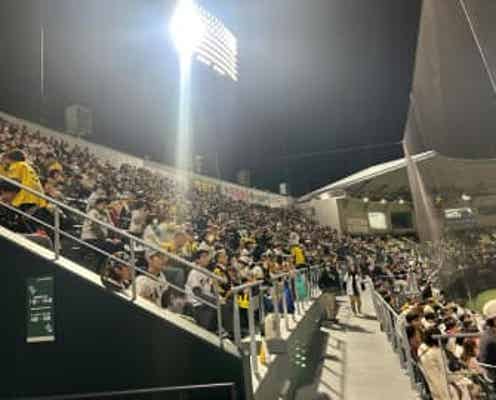 阪神 SGLの日本Sパブリックビューイングは超満員 3510人が来場し甲子園に声援送る