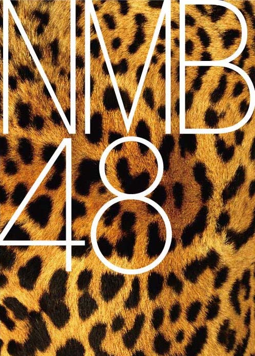 NMB48ロゴ(C)NMB48