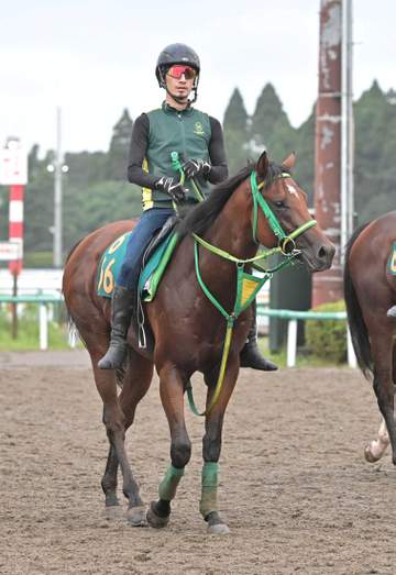 【新馬戦】サトノハクマイ 軽快な動き連発 斎藤誠師「優等生ですね」センスと高い素質に満足