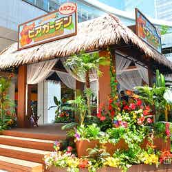 「トロピカルビアガーデン&カフェ」