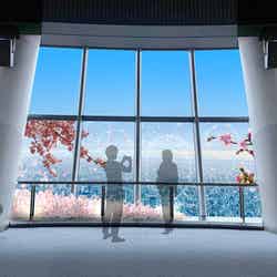 主なフォトスポット/空に願う(C)TOKYO-SKYTREE