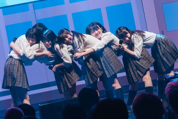 かすみ草とステラ/撮影:真島洸 (提供写真)