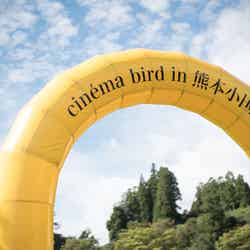 「cinema bird in 熊本小国 2023」の様子（提供写真）
