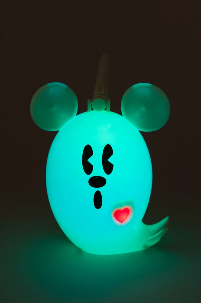 ランタン(¥2,000)(C)Disney