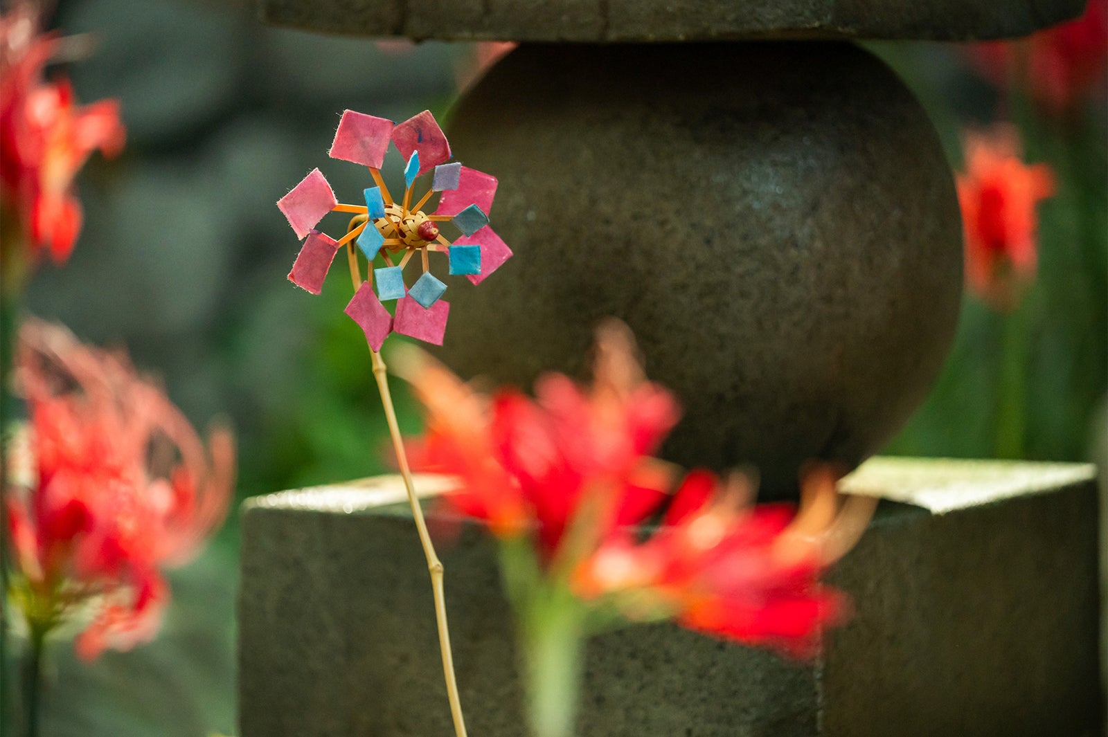 「豊臣兄弟！」第9話（C）NHK