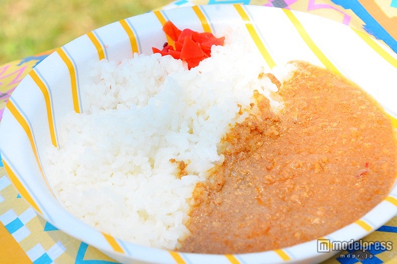 キーマカレー600円