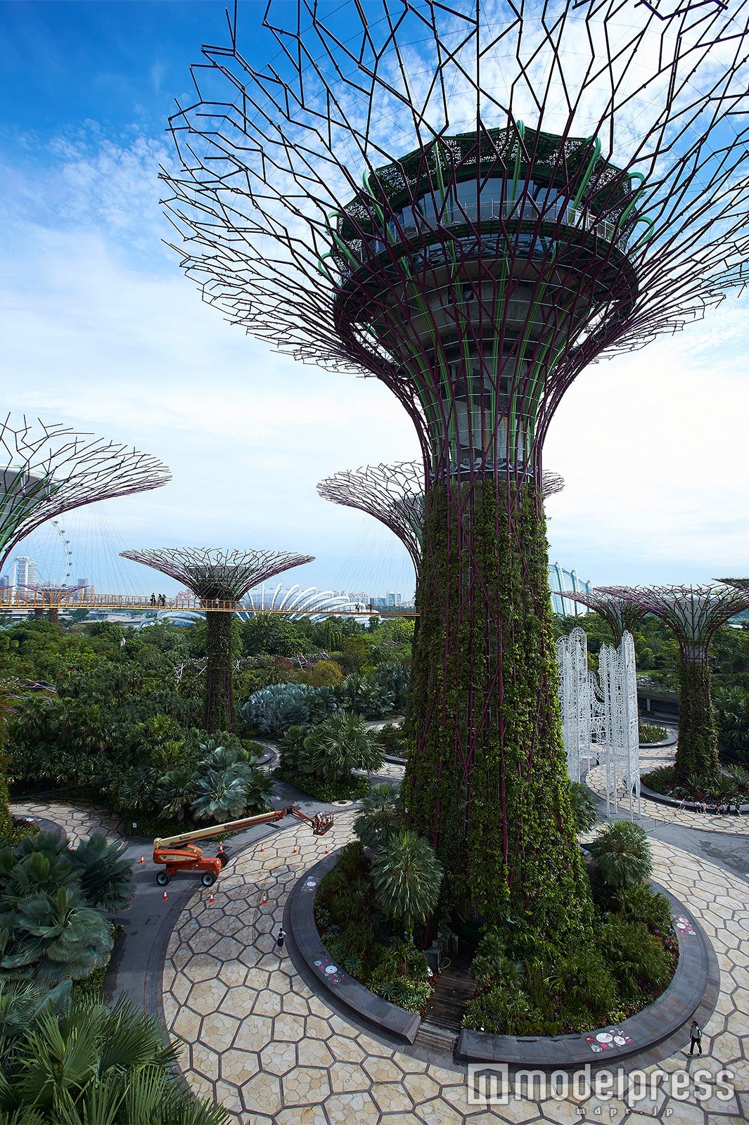 ガーデンズ・バイ・ザ・ベイ（C）モデルプレス