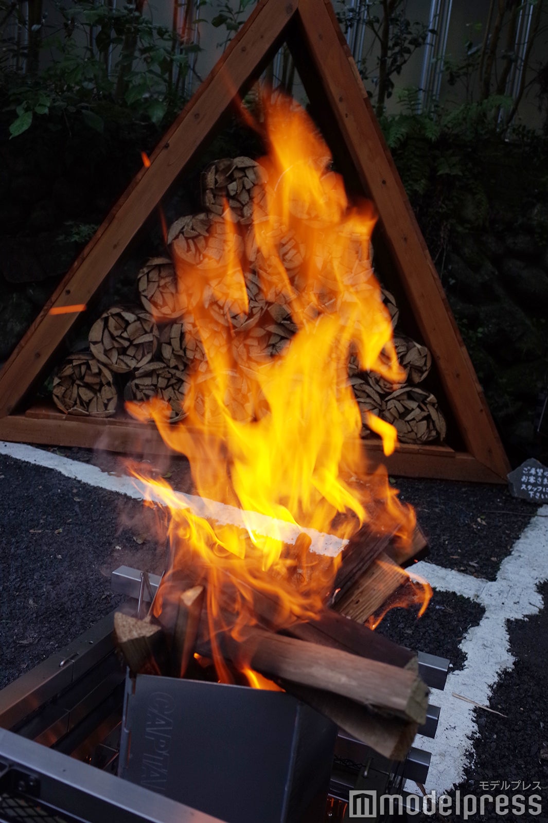 タカオネ（C）モデルプレス