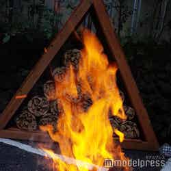 タカオネ(C)モデルプレス