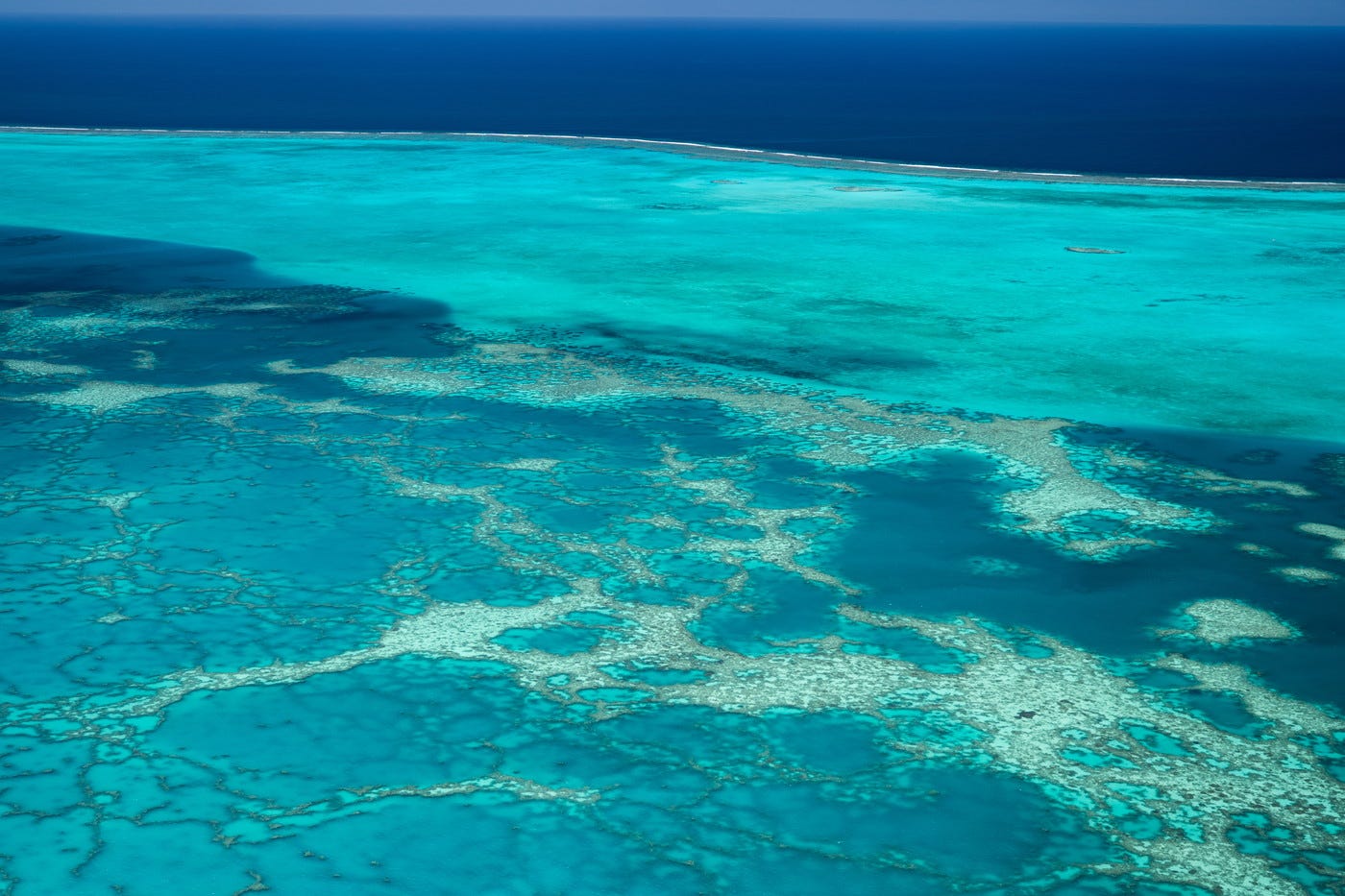 ニューカレドニア、渡航者の入国条件を全撤廃 陰性証明書も提示不要に